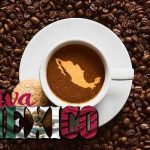 Qué tipo de café se produce en México